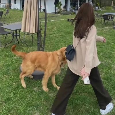 我的街区第一季